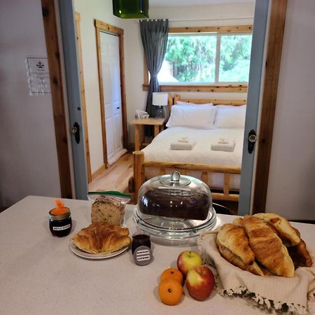 كليرووتر Grizzly Paw B&B المظهر الخارجي الصورة